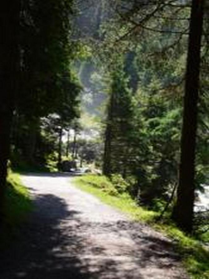 Haus Bachstelze Villa Neustift im Stubaital Eksteriør billede